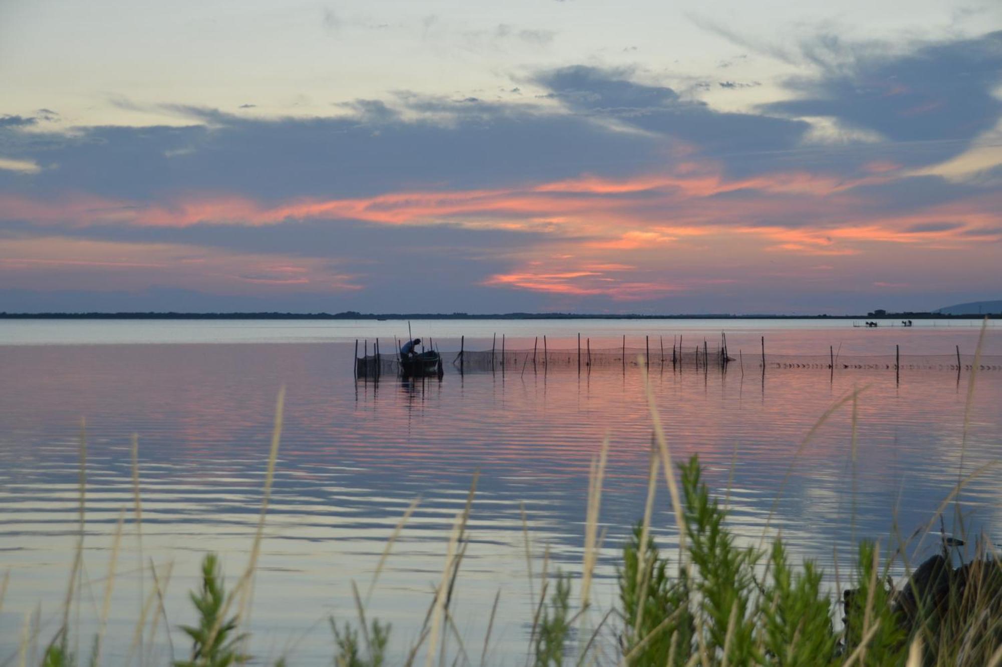 Le Stanze Di Ricci - Affittacamere Low Cost Lesina Εξωτερικό φωτογραφία